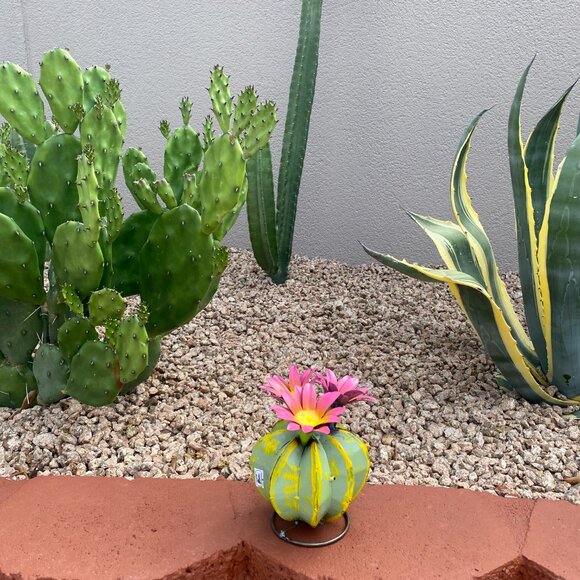 Handpainted Metal Mini Bisnaga Cactus Yard Art Garden Decor - Picture 6 of 14